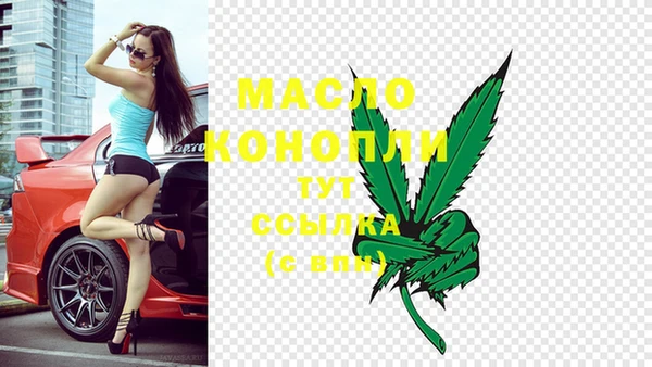 крисы Инсар