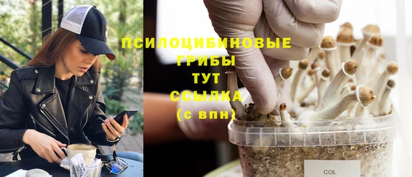 крисы Инсар